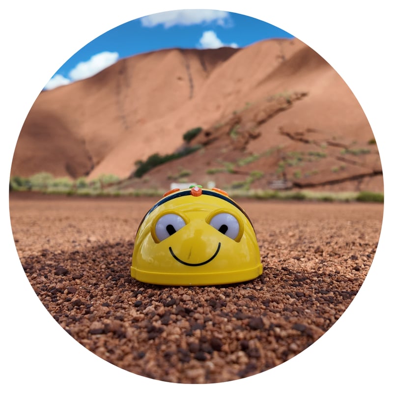 Beebot (1)