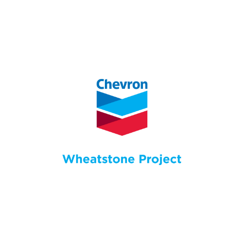 Chevron Wheatstone (500 x 500 px)-2